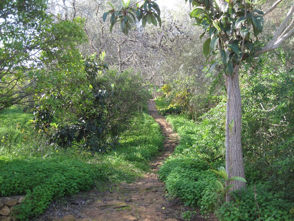 Vila Quinta Das Seis Marias Lagos Exteriér fotografie